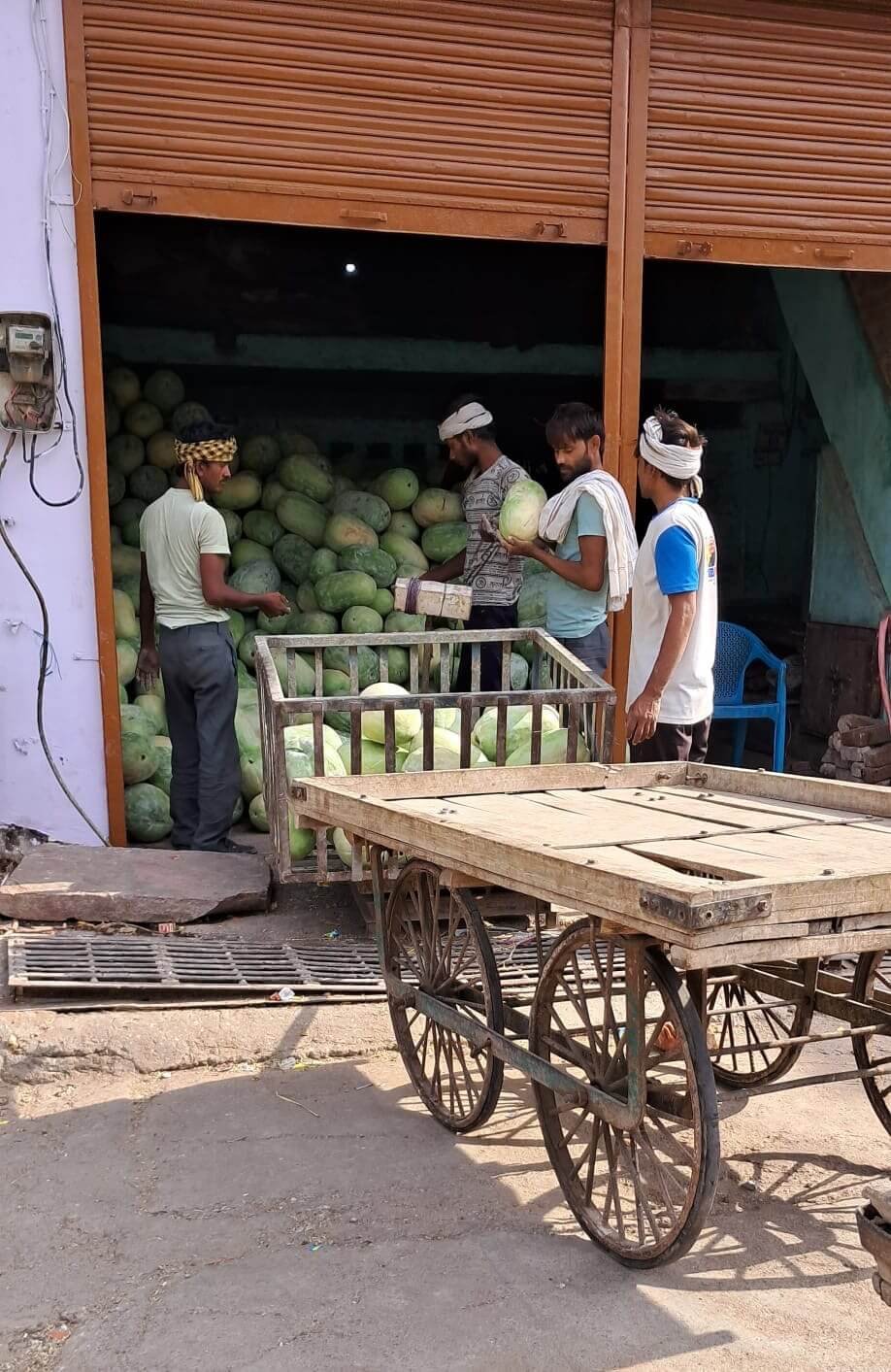 Workers unloading ash gourds outside a petha workshop in Agra